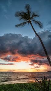 Ai Prompy 3 – Duplicate – [#1239]